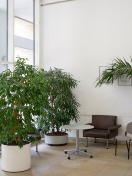 Laura Michèle Kniesel Nürnberg Fotografie