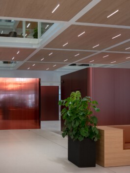 Laura Michèle Kniesel Nürnberg Fotografie