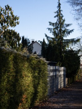 Laura Michèle Kniesel Nürnberg Fotografie