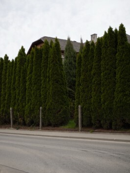 Laura Michèle Kniesel Nürnberg Fotografie